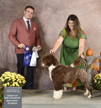 Best in Breed at Endless River PWD